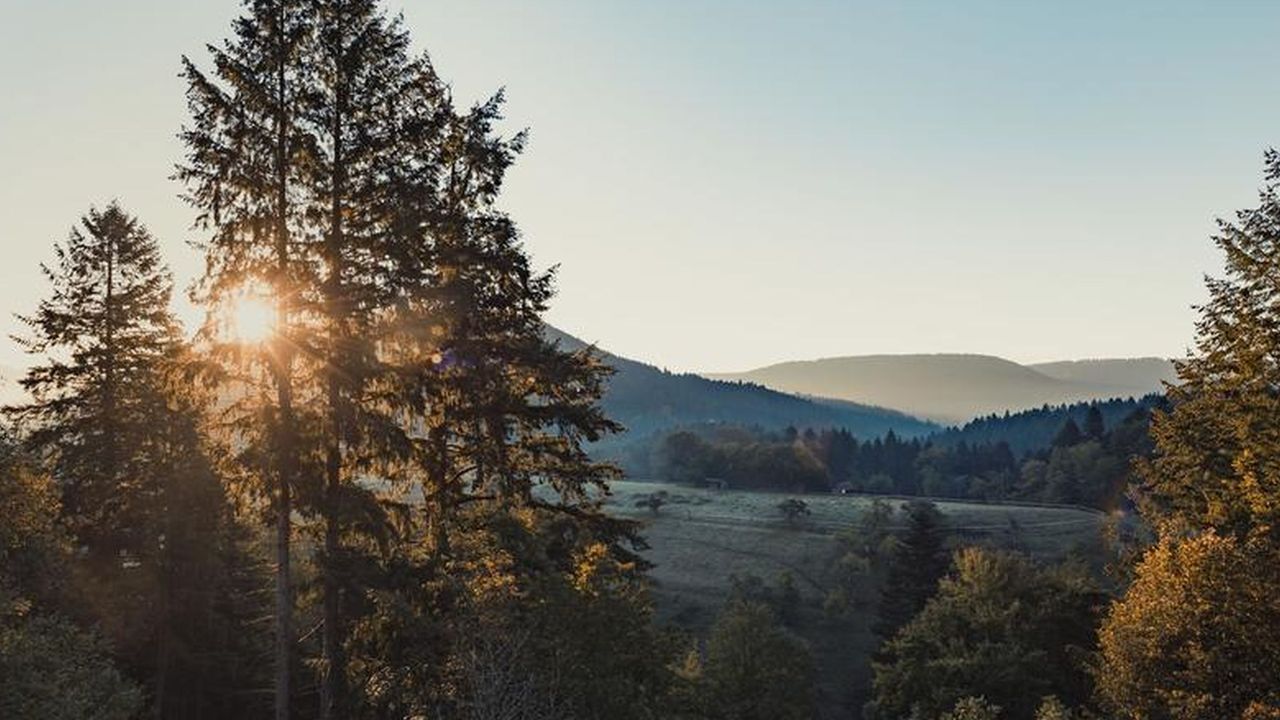 Landschaft Landschaft
